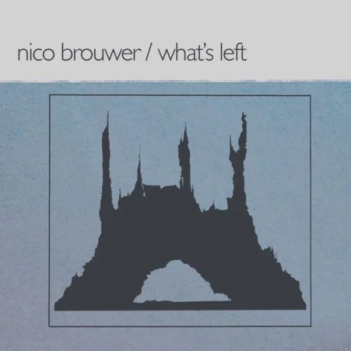 Nico Brouwer - What's Left (2022)