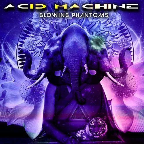 Acid Machine - Glowing Phantoms (2023)