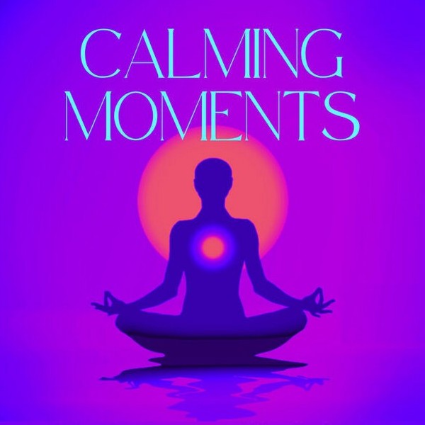 VA - Calming Moments [Vol.1-3] (2024) FLAC
