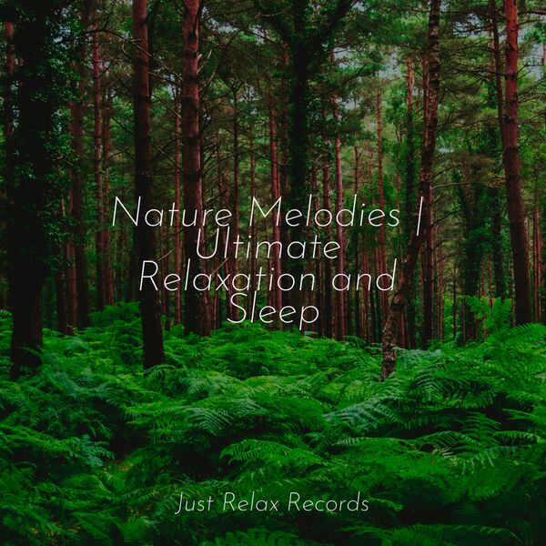 Nature Melodies: Ultimate Relaxation and Sleep (2024) FLAC