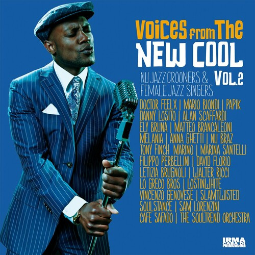 VA - Voices From The New Cool [Vol. 2] (2024) FLAC