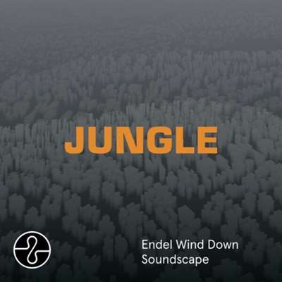 The Blaze - Jungle [24-bit Hi-Res, Wind Down Soundscape] (2024) FLAC
