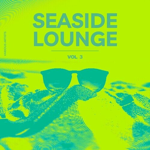 VA - Seaside Lounge [Vol. 3] (2024) FLAC
