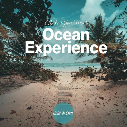 VA - Ocean Experience: Chillout Your Mind (2024) FLAC