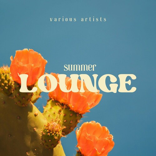 VA - Summer Lounge (2024) FLAC